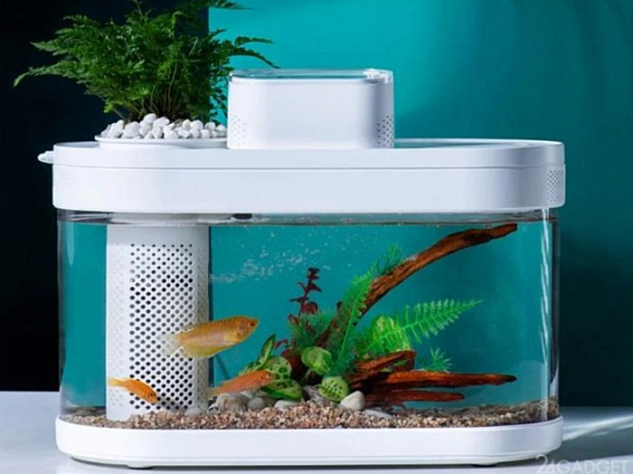 Smart Fish Tank Pro